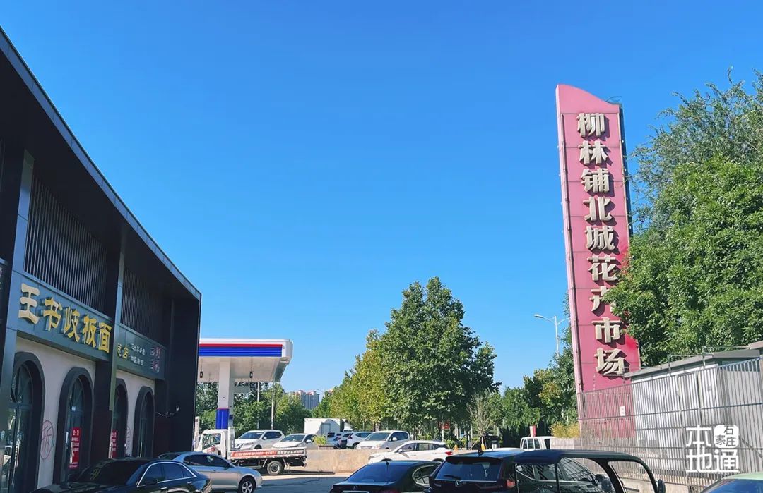 石家庄哪个花卉市场要拆,石家庄最好的花卉市场搬哪里去了