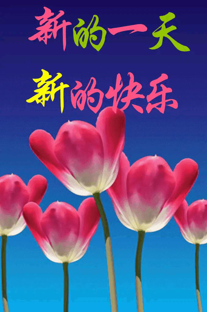 庚子日柱2023年癸卯年运势,癸卯年2023年哪个月出生最好