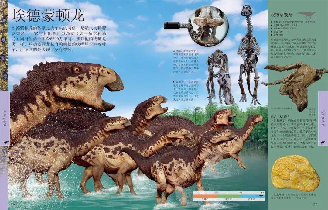 经典童书推荐4本,最值得推荐的50种童书