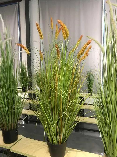 澶у勾鍒濆叓璇镐簨椤烘剰鍏柟鏉ヨ储,鏂板勾鍒濆叓璇镐簨澶у悏