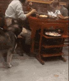 “大妹子赶紧把手放下来吧,不觉得让人看了尴尬嘛!”哈哈哈哈哈