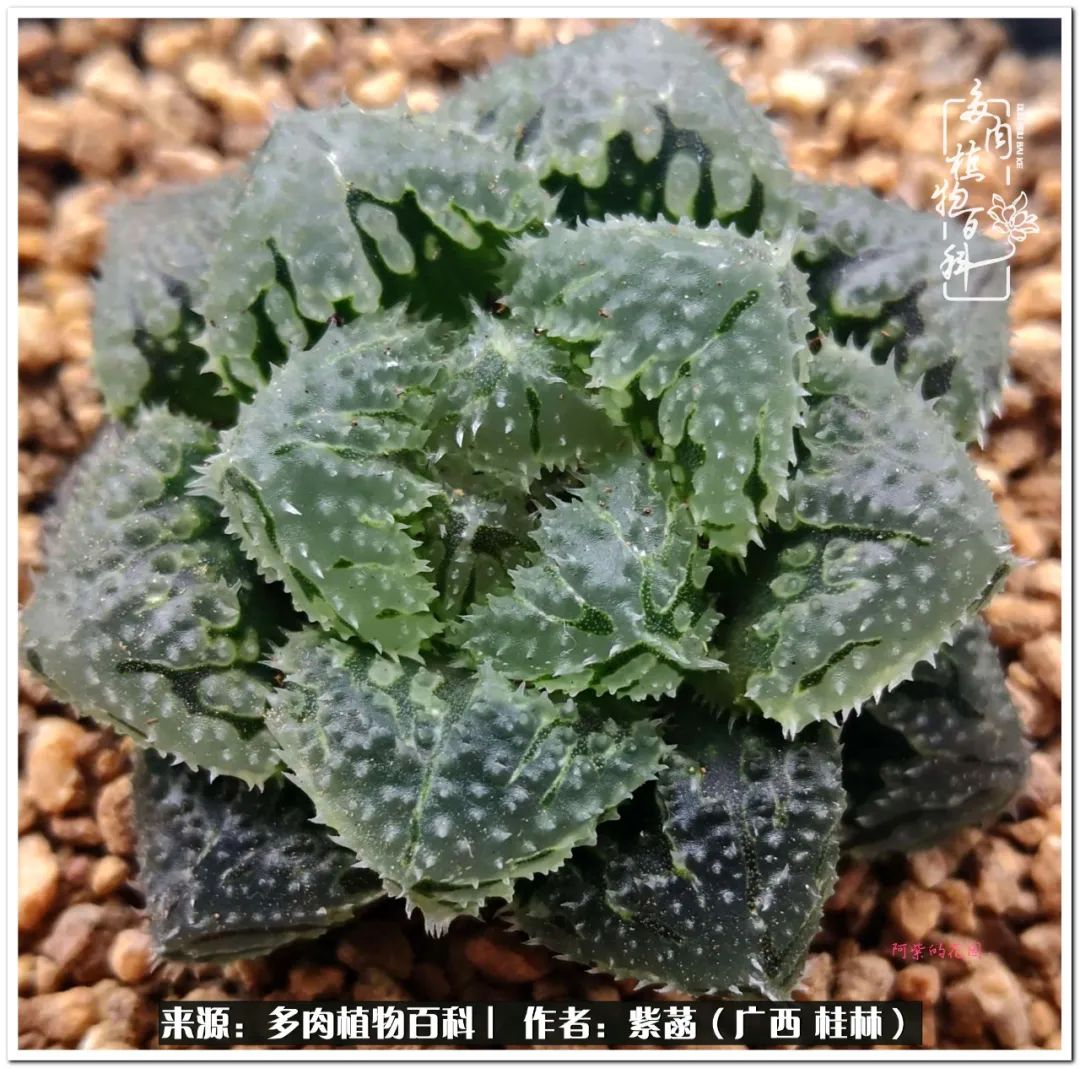 酷暑里的关爱，如十二卷般透亮绵长