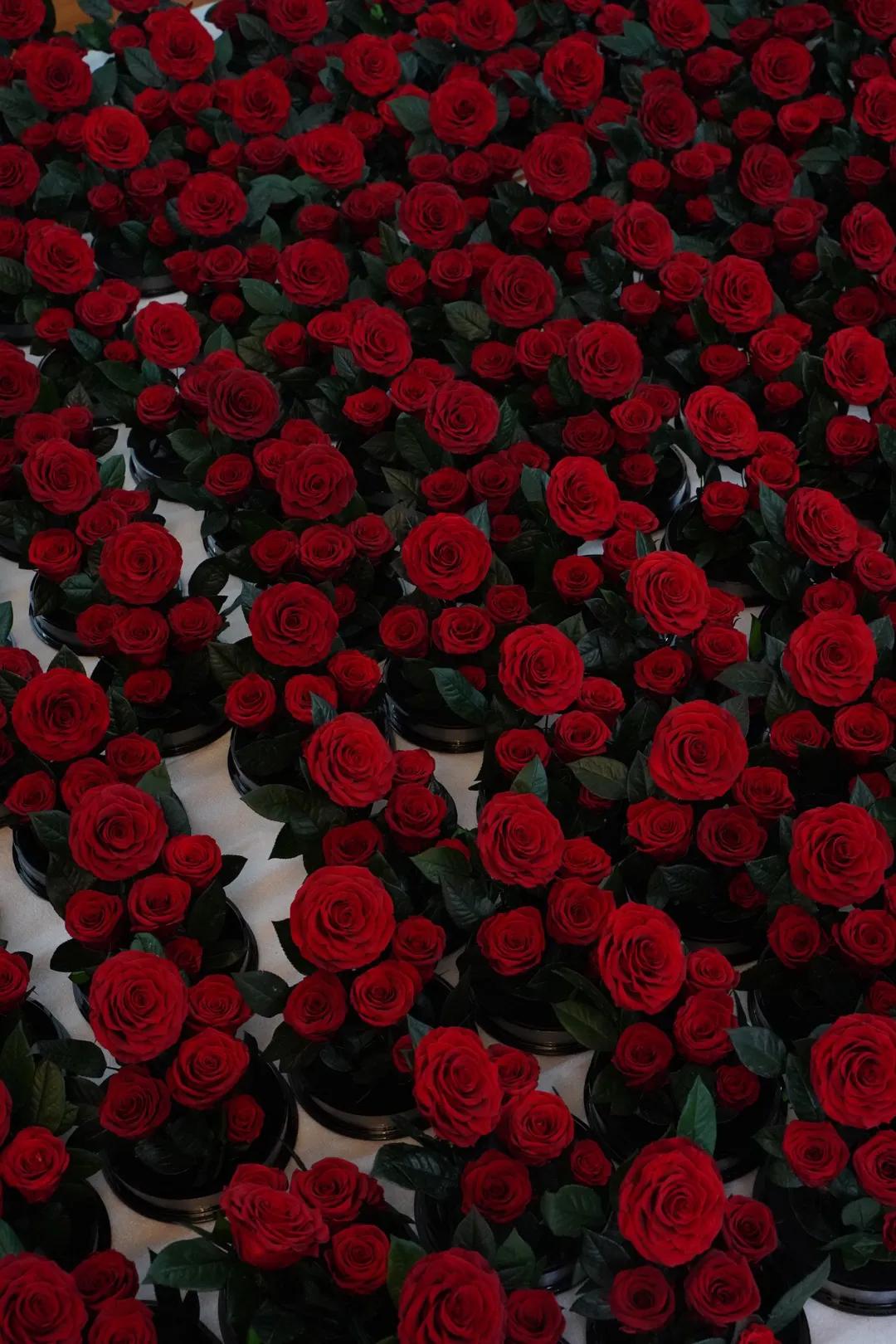 永生花定制义乌,永生花定制的从哪找