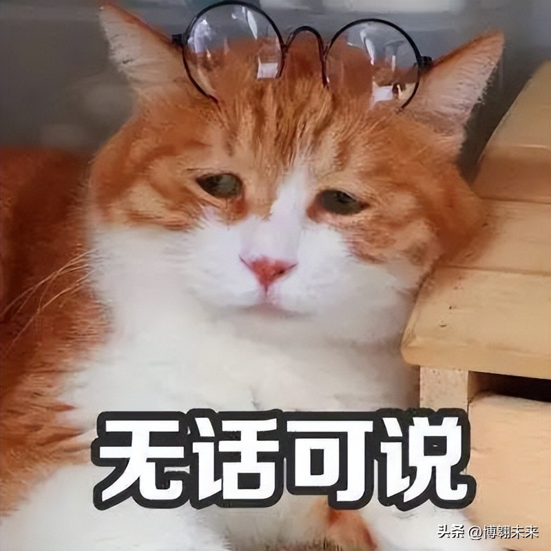 香港涨价,香港物价这几年涨了吗