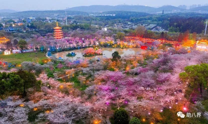 武汉十大旅游景点排名,武汉江夏网红打卡景点大全