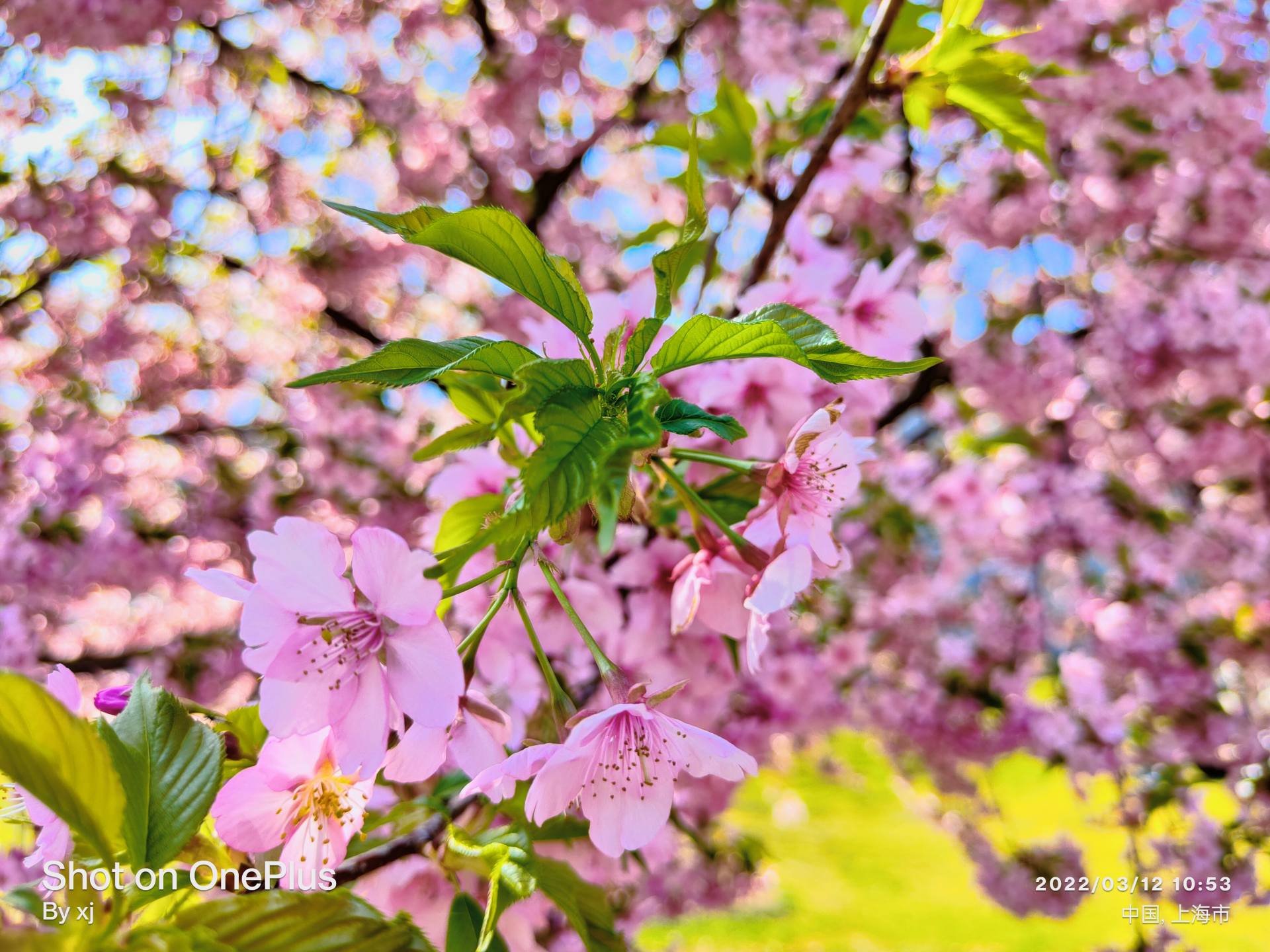 数码摄影入门器材推荐,穷玩摄影推荐预算100到300单反