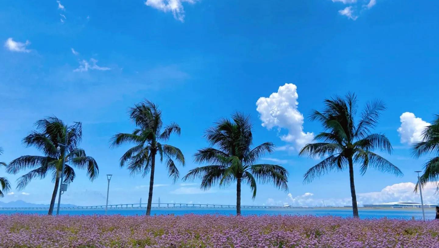 2023年珠海房子还会跌吗,珠海的房子跌了吗