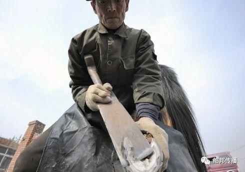 盘点各行业十大品牌,钉马掌视频大全完整版