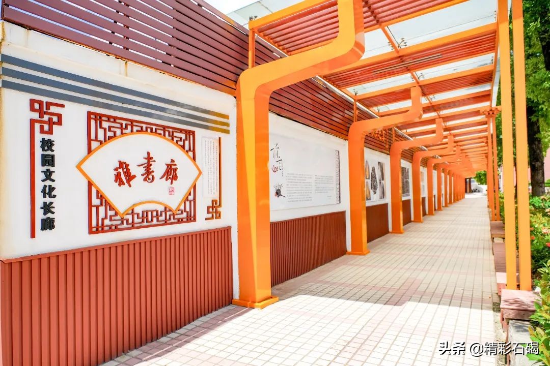 选择石碣四海，成就孩子未来