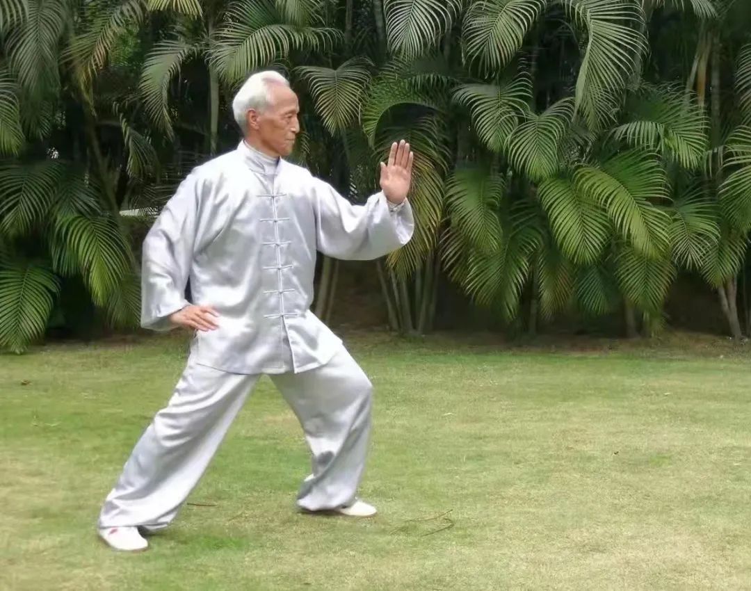 沉痛悼念陈道长,沉痛悼念陈林英雄