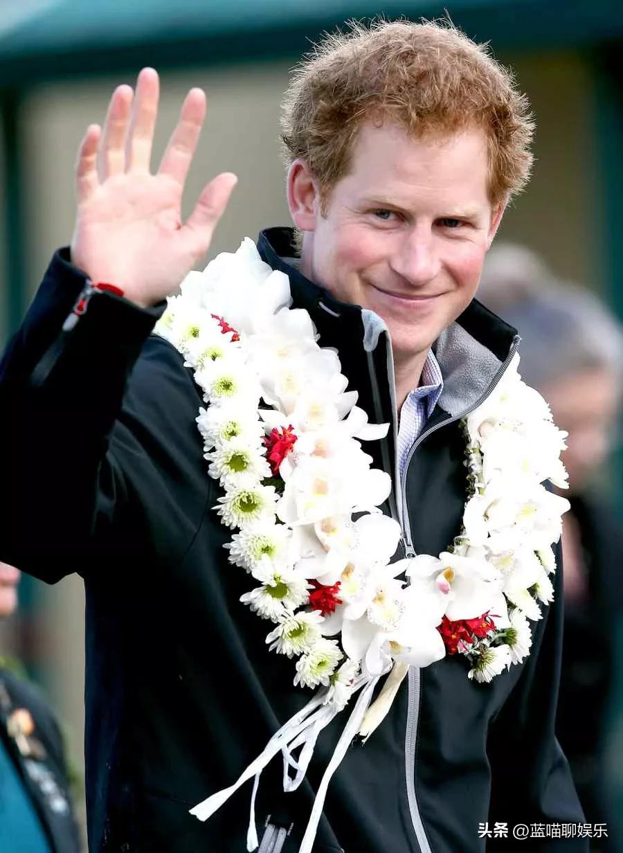 哈里王子和威廉王子回忆,哈里王子梅根感人视频