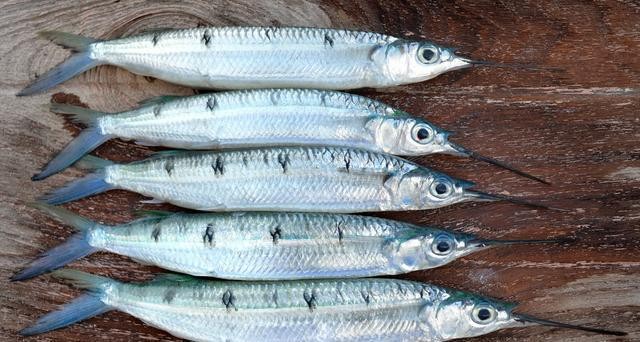 最常见的50种食用鱼吃法和价格,十种常用食用鱼类介绍
