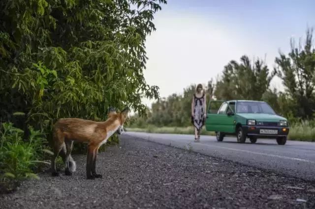 奥林巴斯摄影获奖照片,奥林巴斯摄影比赛视频