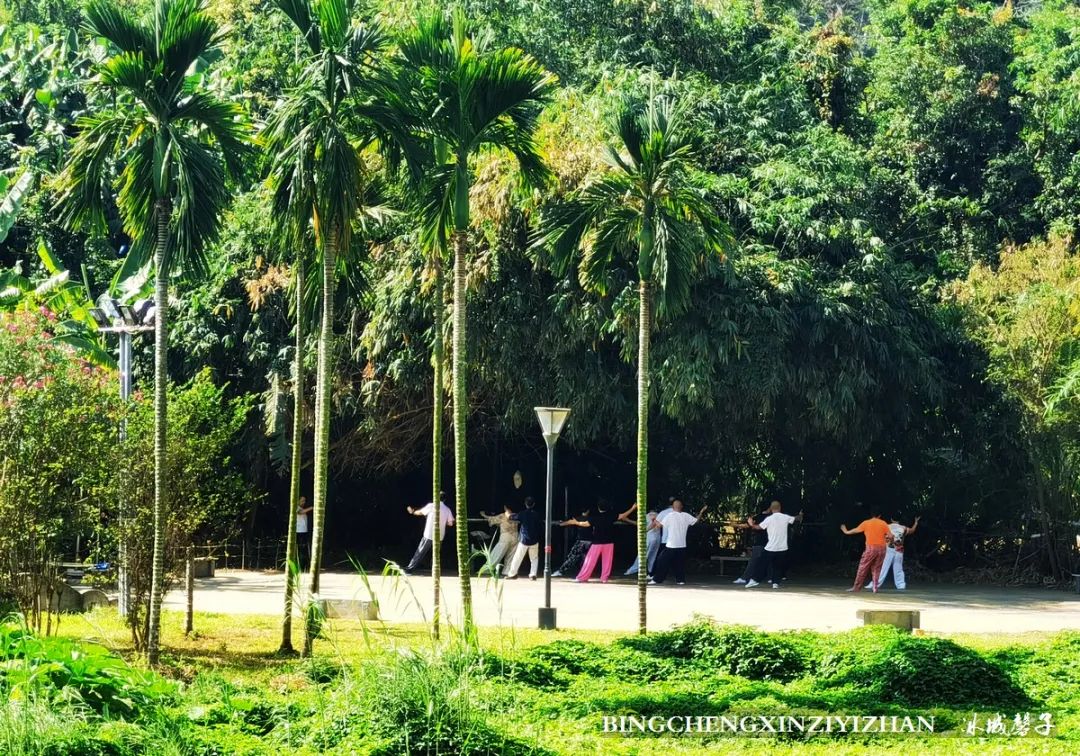 旅居海南,旅居式旅游生活海南