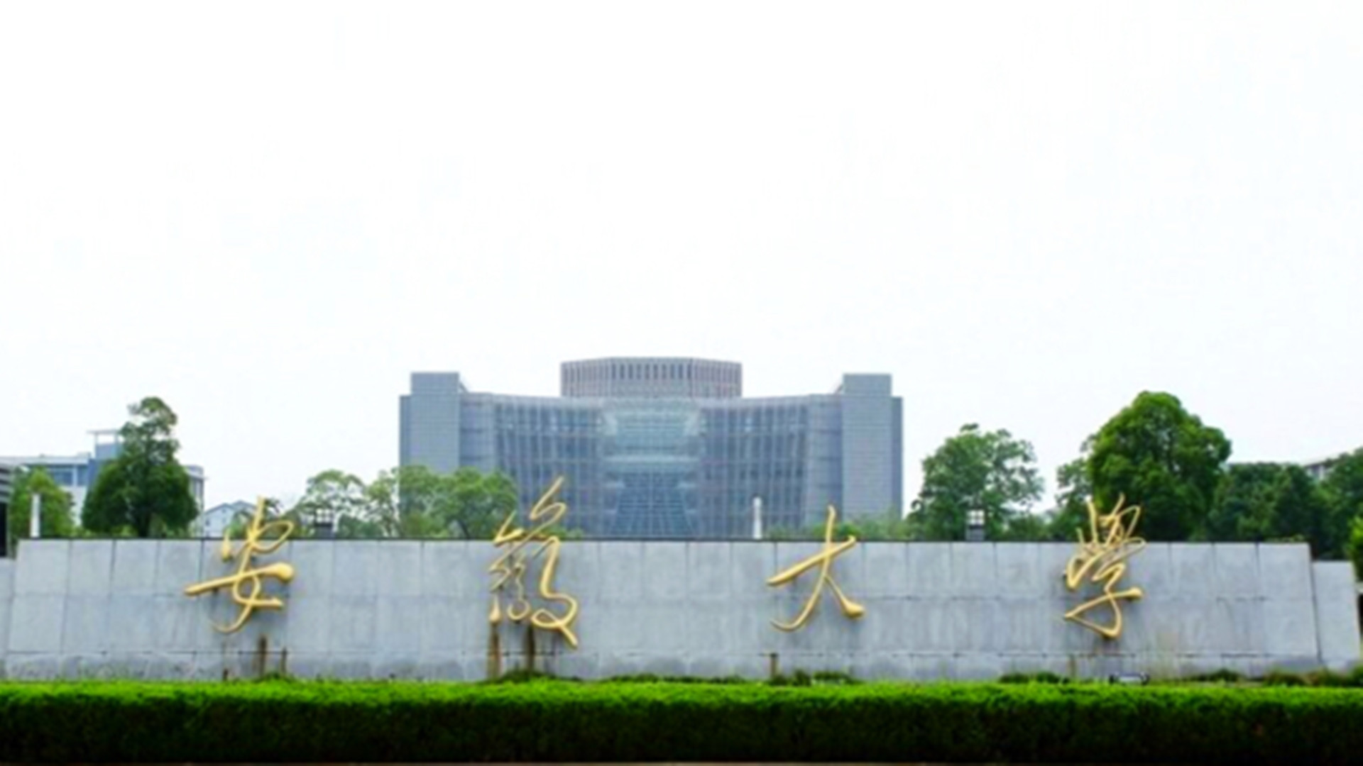 安徽大学各院系实力,安徽大学有哪些双一流专业