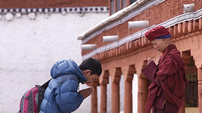 尼姑苦行僧徒步行走,一个出家尼姑的艰辛出家经历