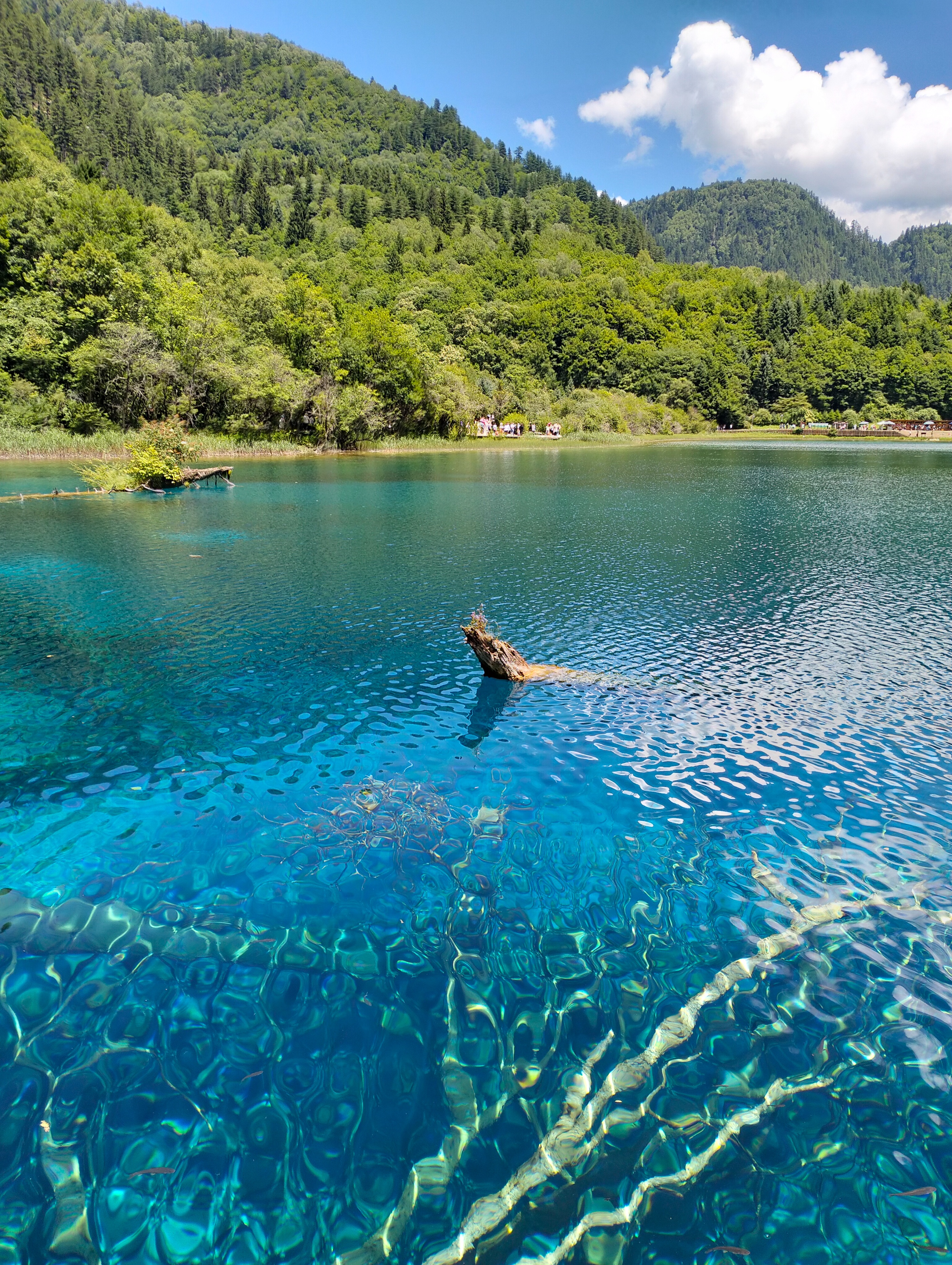 九寨沟一年四季都有雪山吗,九寨沟一年四季都开放吗