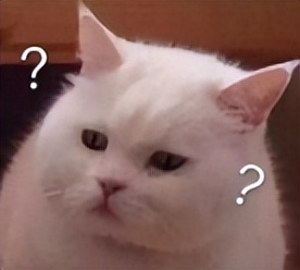 修车学历有要求吗,学修车需要学历吗