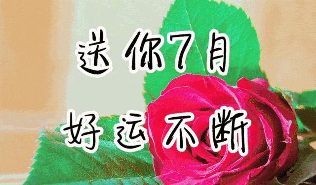 六月再见七月你好的文案,五月再见六月你好超好看文案配图