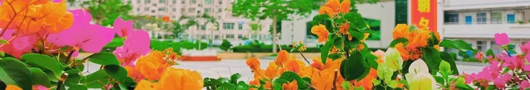 名校长培训感想,新任中学副校长任职感言