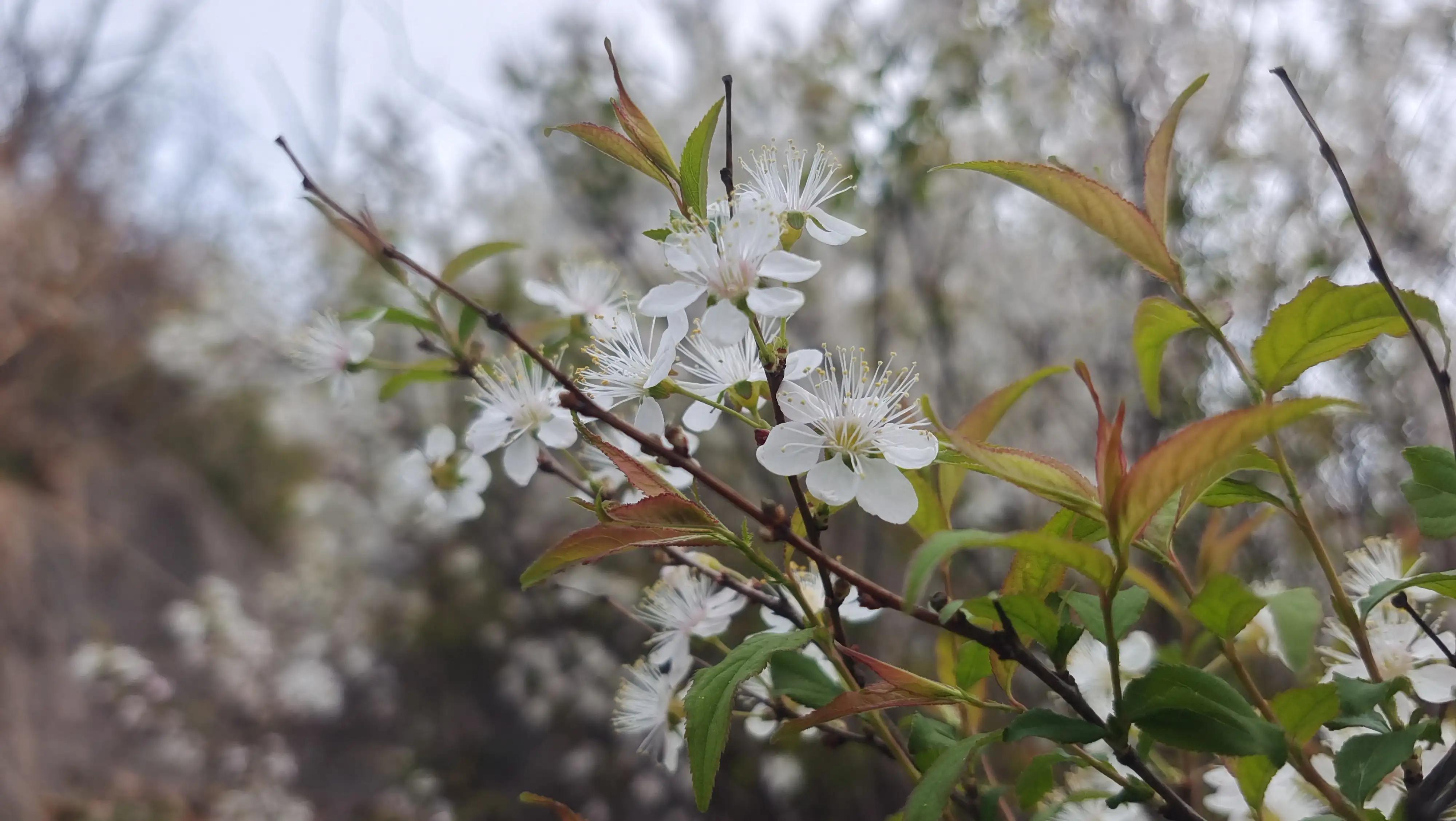 解封后你最想做什么,解封后你最想去的地方
