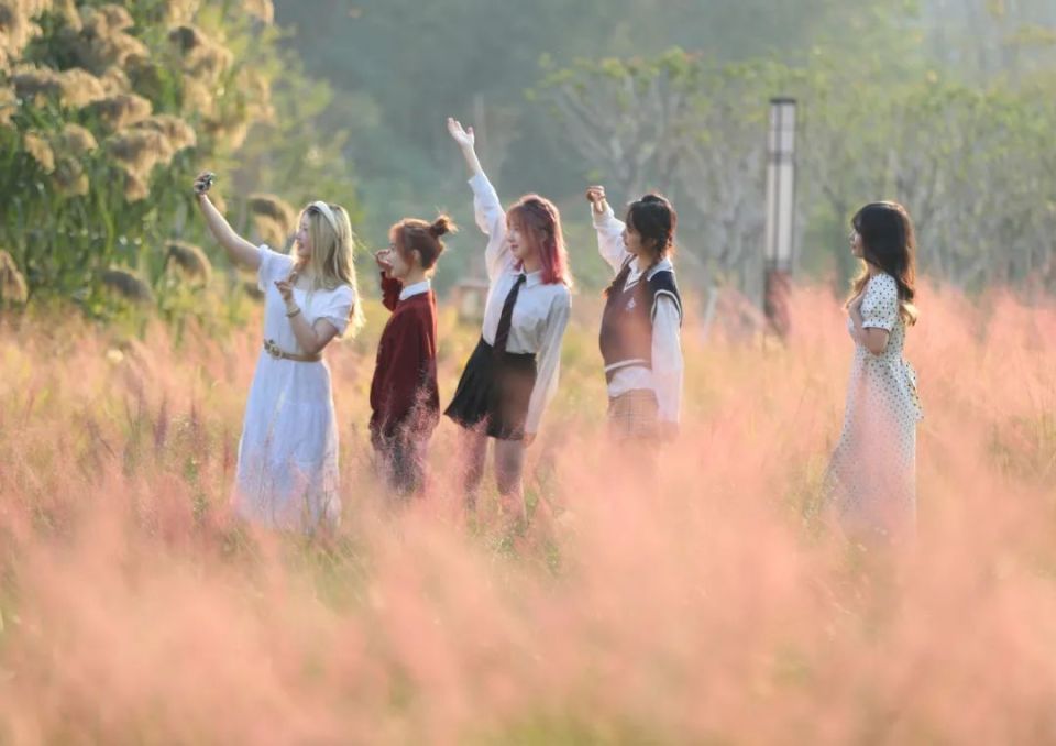 南华大学的就业前景工资如何,南华大学就业情况如何