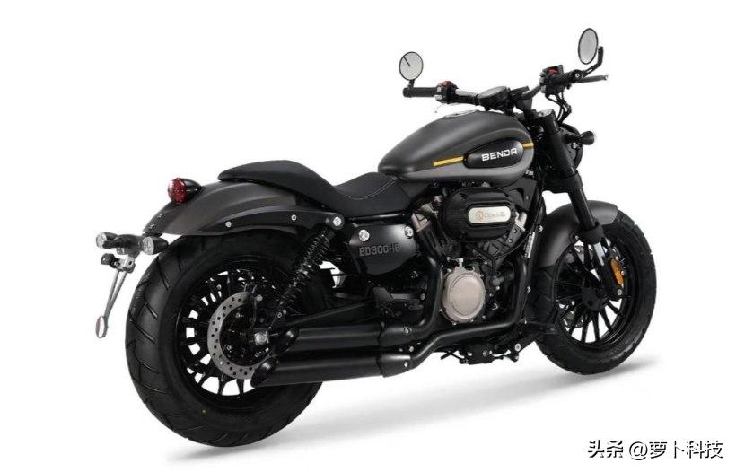 金吉拉300tcs版全款,金吉拉300新款老款区别大吗