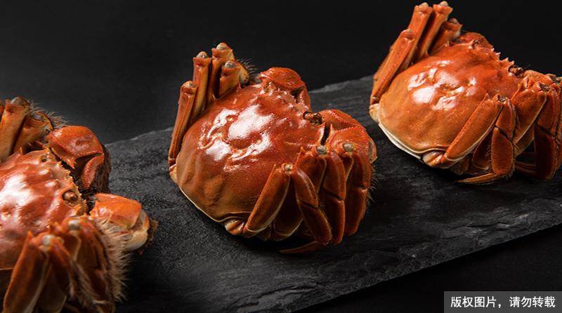 死的螃蟹到底能不能吃,怎样判断死螃蟹能否吃