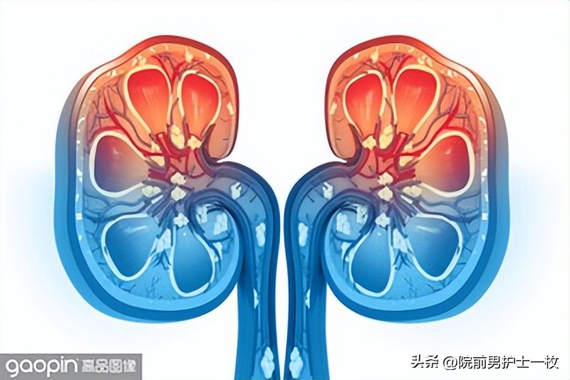 低钾性周期性麻痹怎么补钾,低钾老人吃哪些食物可以补钾啊