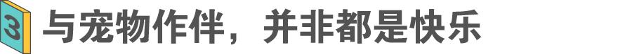 宠物训练学校能赚多少钱,宠物上学比孩子还贵
