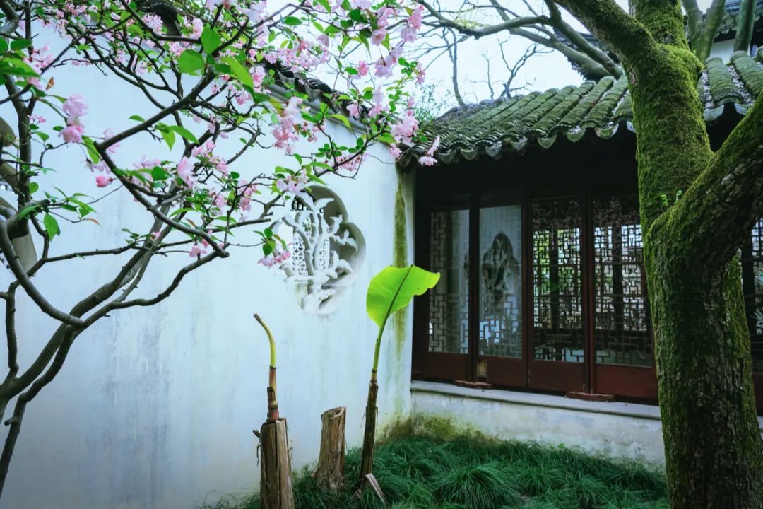 江南最美的城市,江南最好的风景城市