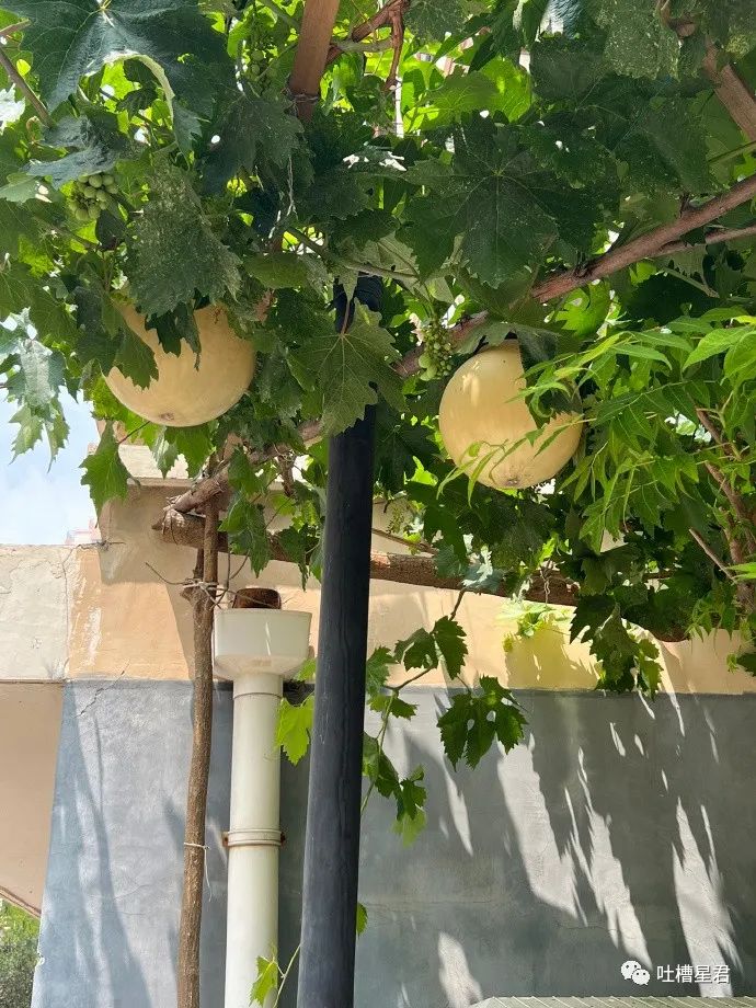 萧敬腾求婚50岁经纪人谈了多少年,萧敬腾求婚50岁经纪人多久结婚