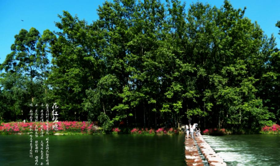 天府农博游玩心情,天府农业博览园一日游