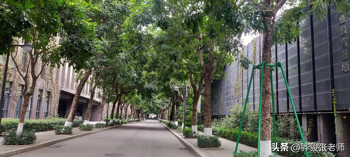 民办高校前十亮相，河南有两所并列第五名，能不能降低一点学费？