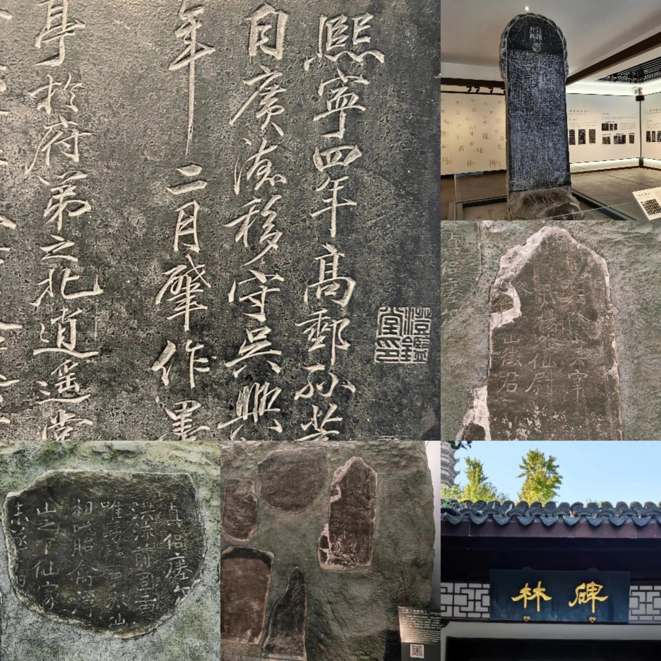 镇江养老服务排名,镇江定居养老真实感受