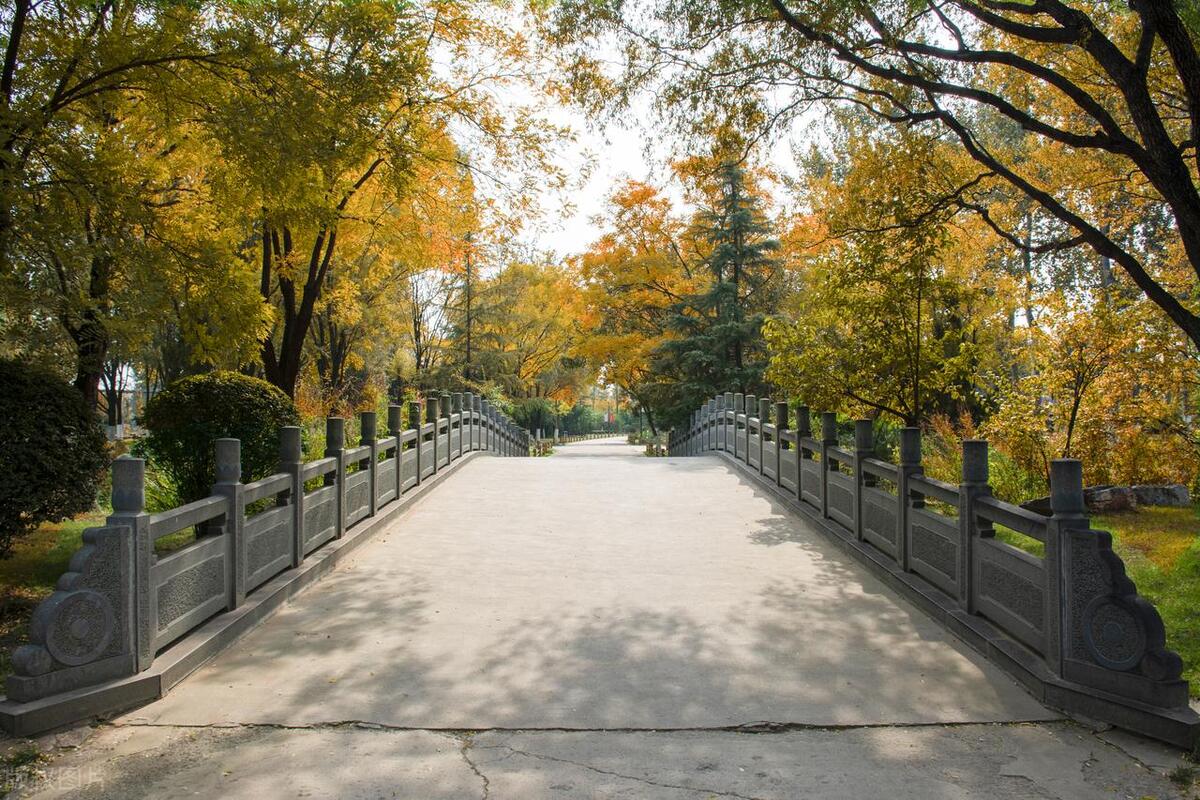 济南旅游景点排名前十旅游攻略,济南融创海洋和泉城海洋哪个好玩