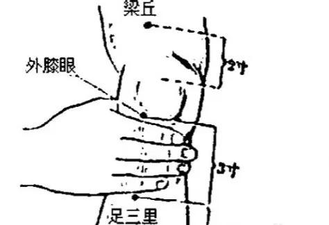 足三里是调理什么的重要穴位,足三里主治脾胃