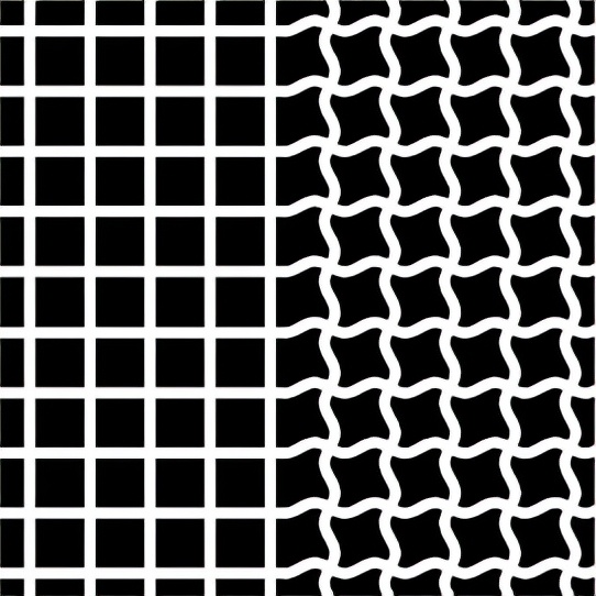 眼花缭乱的科学实验,各种视觉错觉