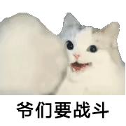 底线何在？大润发每出一件周边，就有一条鱼受到伤害