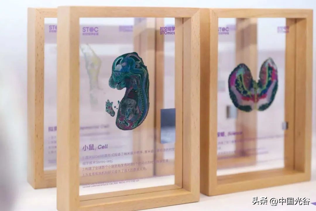 第十五届中国生物产业大会在汉举行，何维视频致辞，陈竺致贺信，王忠林致辞