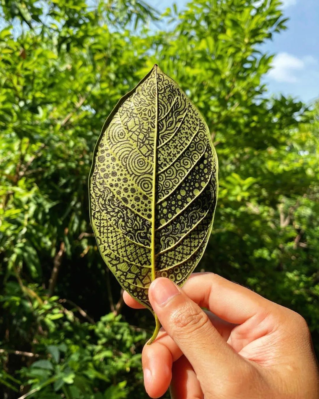 治愈强迫症的画,看了让人强迫症发作的画