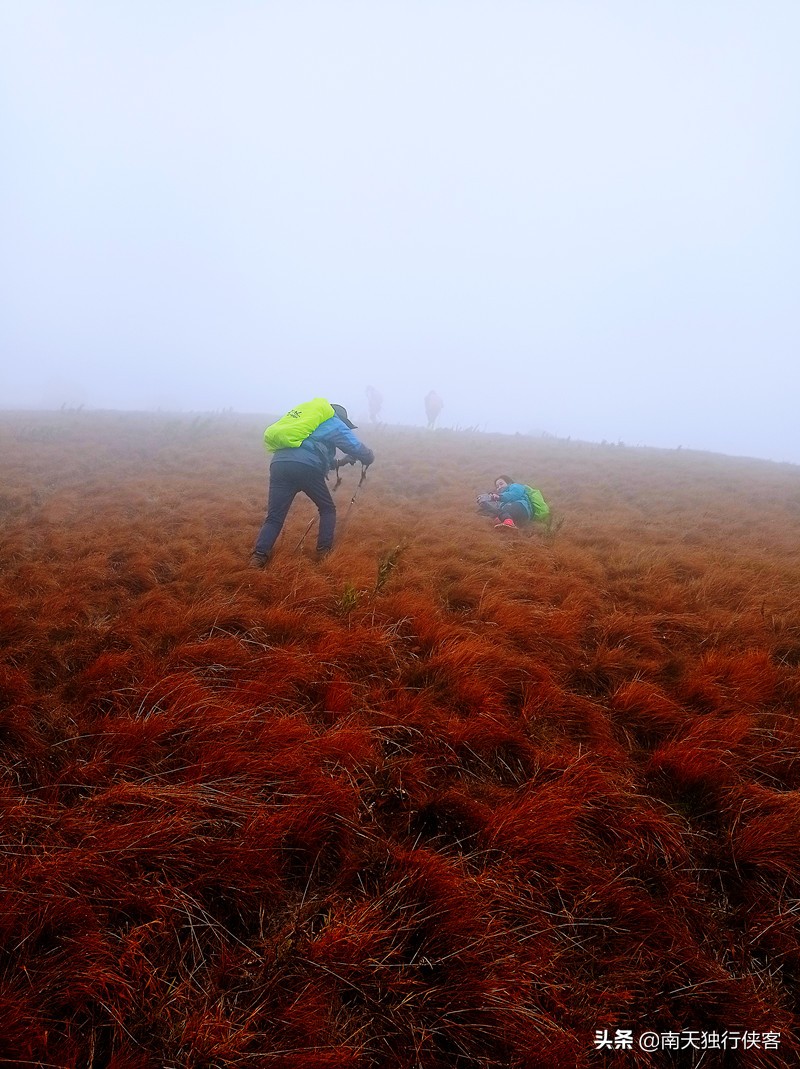 穿越时空美丽的云南,穿越迷雾丛林见美景