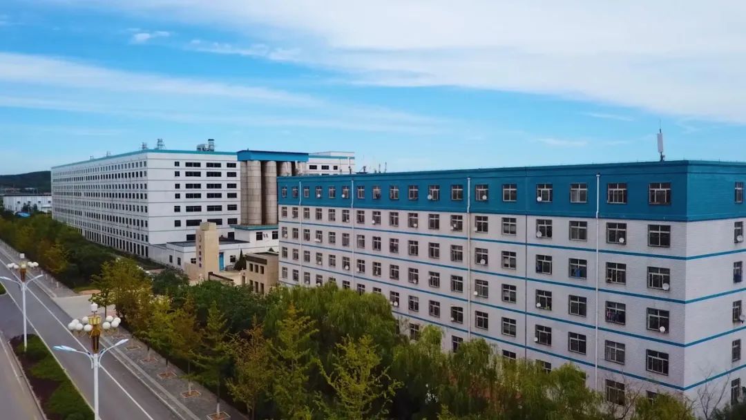 轮胎诚信认证,大连轮胎有限公司怎么样