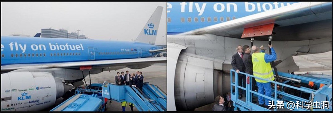 烟头中国回收吗,烟头地沟油