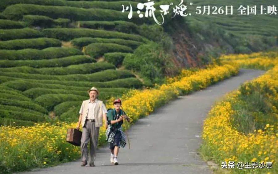 电影川流不“熄”,川流不熄灭观后感