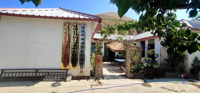 一腔故乡情，敢教荒山换新颜——记武山县优秀返乡创业者安小斐