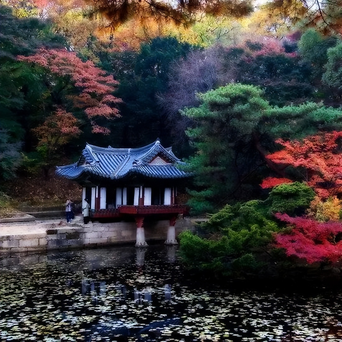 刚试了一下中华文字果然博大精深,涨知识了快来看看中国文字的魅力