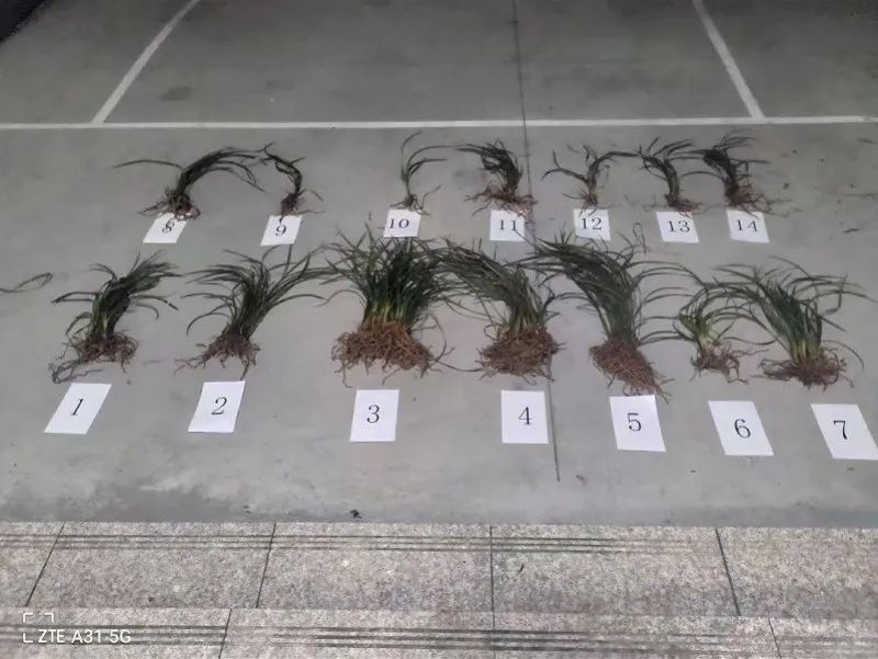 严打侵害公民个人信息,重拳打击侵犯个人信息犯罪