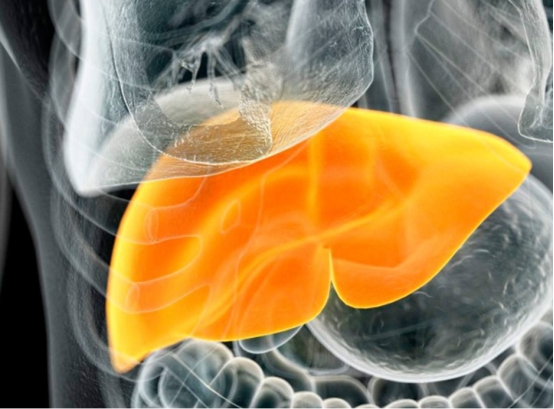 高血压吃维生素b2还是维生素d好,维生素b2和高血压药一起吃可以吗