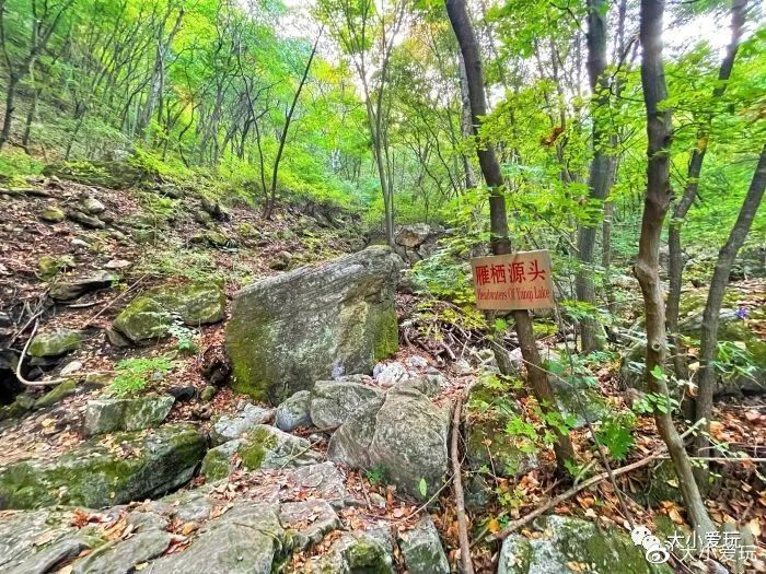 澶╂渤鐎戝竷閬挎殤绾冲噳鐨勫ソ鍦版柟,澶忓閬挎殤婧舵礊鎺ㄨ崘